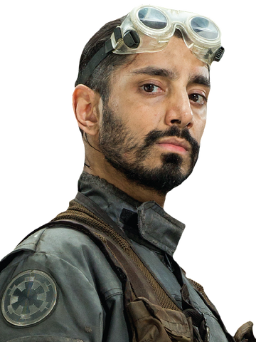 File:Bodhi Rook Fathead.png