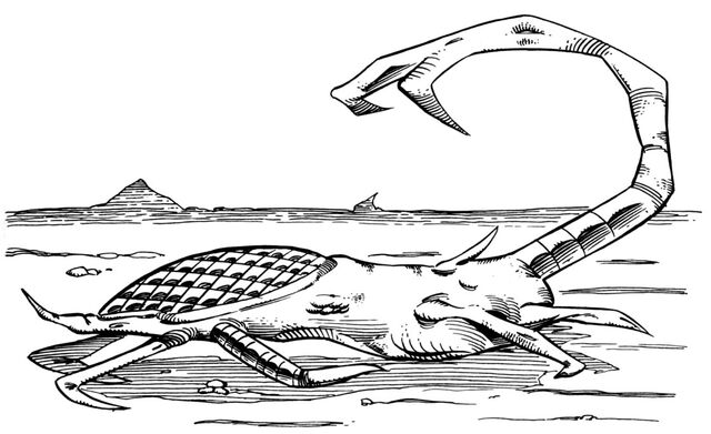 File:Spor crawler.jpg