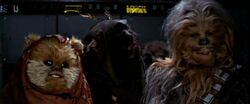 Widdle Chewie