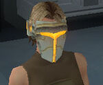 Force Mask