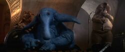 Max Droopy.jpg