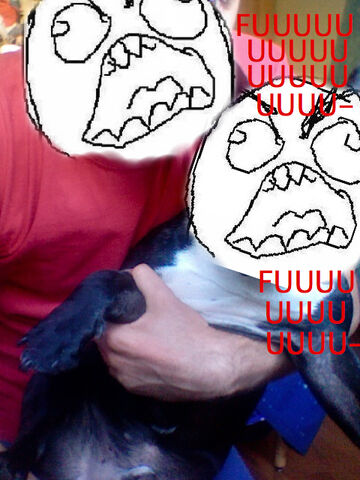 File:LOL.jpeg