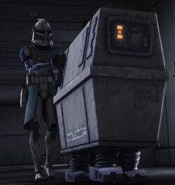 Rex PLNK