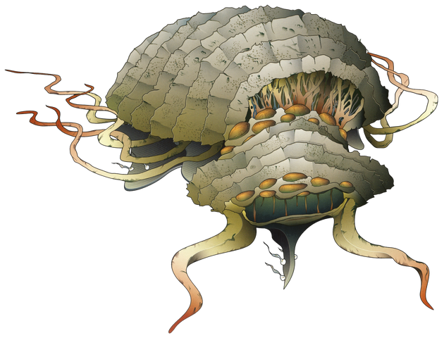 File:Vangaak.png