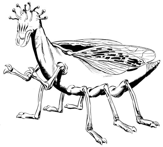 File:Xidecgg4.jpg
