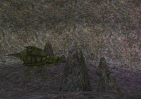 PygmyTortonCave2