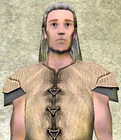 MikosDenari