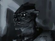 Pekt.jpg