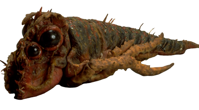 File:Monster book rock wart.png