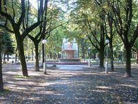 DSCF0020.jpg