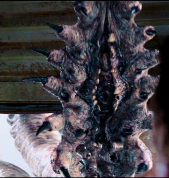 Tentacles Stephen King Wiki Fandom Powered By Wikia