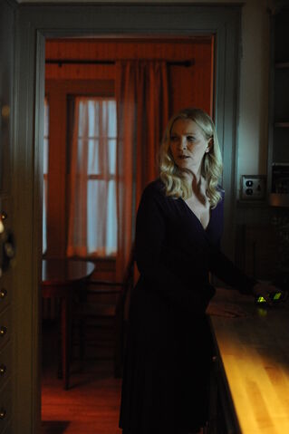 File:Joan-Allen-in-STEVEN-KINGS-A-GOOD-MARRIAGE-courtesy-Screen-Media-Films.jpg