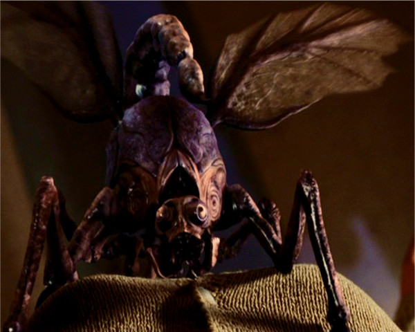 File:Mist Bug.png