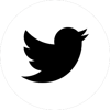 TwitterIcon
