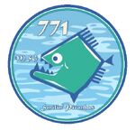 771msg