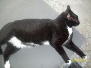 Janie's pictures!!!!! 078