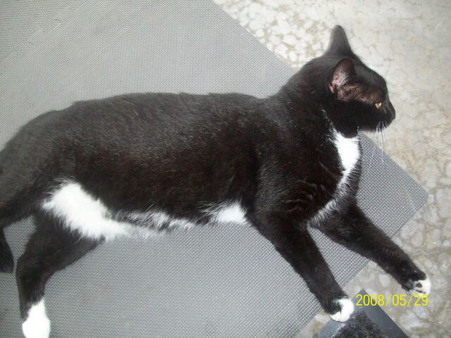 File:Janie's pictures!!!!! 078.jpg