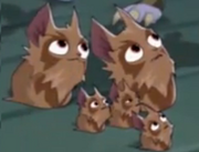 Leapers