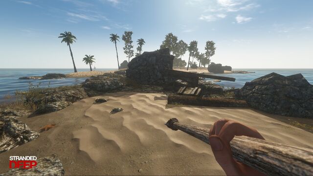 Plik:Crab hunting.jpg