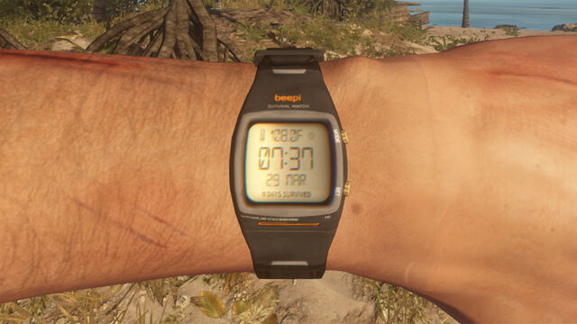 Plik:Watch.jpg