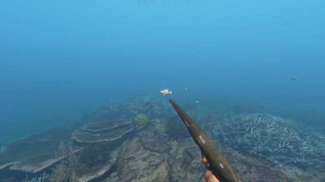File:Speargun.jpg