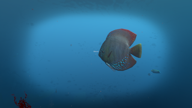 File:Discus.png