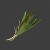 Fibrous Leaves-0