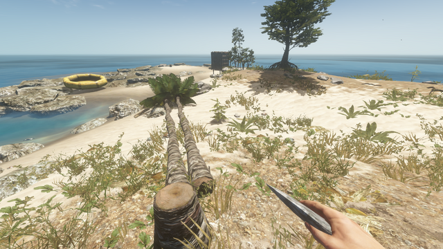 File:PalmTreeBug.png