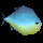 File:Piranha.png