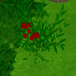 Red berry 2 Stranded 2
