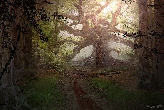 File:Stranger-things-concept-art-forest-rift-pic.jpg
