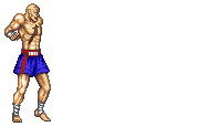 File:Sagat's Tiger Shot.gif