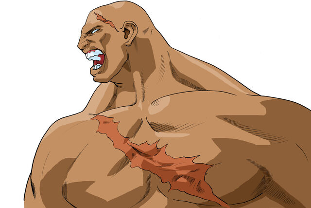 File:Sagat-alpha3-fixed.jpg