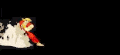 Thumbnail for version as of 05:18, June 5, 2010