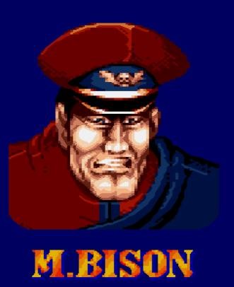 File:Bison 7.jpg