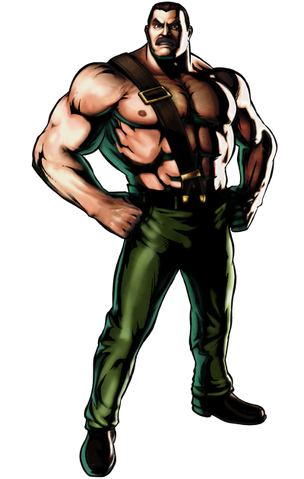 File:Mike Haggar.png