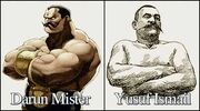 Yusuf ismail ed Darun