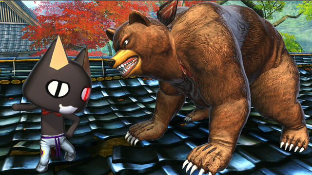 File:Bear vs cat.jpg