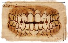 Vampire Teeth