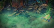 Bayou