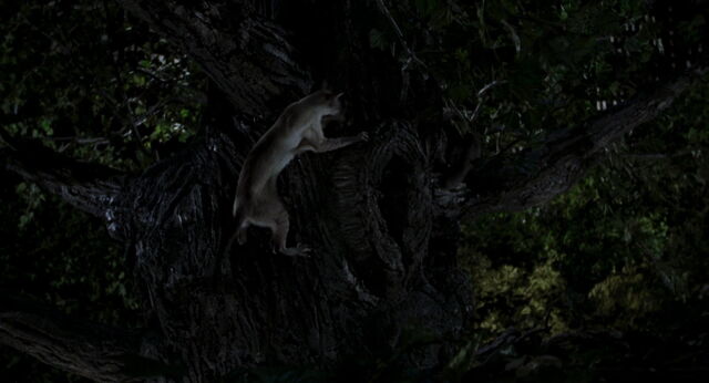 File:Stuart-little-disneyscreencaps com-8338.jpg