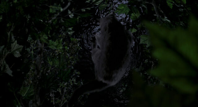 File:Stuart-little-disneyscreencaps.com-8942.jpg