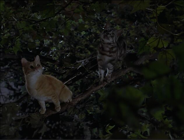 File:Red and Monty.jpg