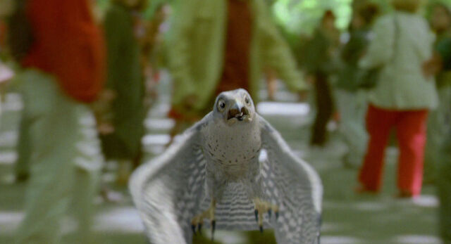 File:Stuart-little2-disneyscreencaps com-7381.jpg