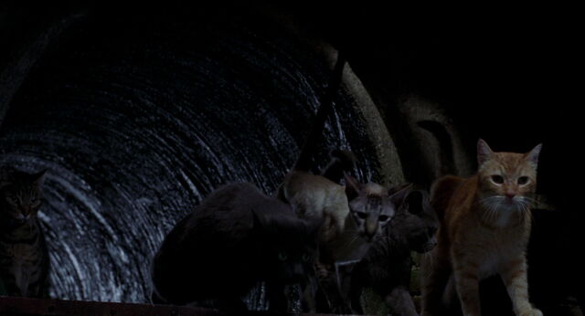 File:Stuart-little-disneyscreencaps com-7305.jpg