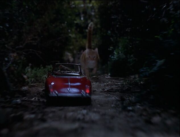 File:Red chasing after Stuart.jpg
