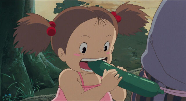 File:Neighbor-totoro-disneyscreencaps com-7383.jpg