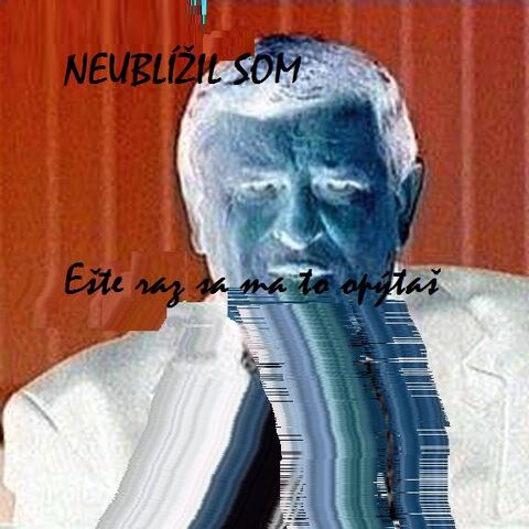 Súbor:NeublizilB.jpg