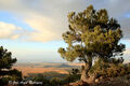 Thumbnail for version as of 01:07, April 3, 2010