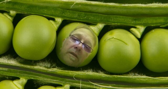 File:Peas in a pod.jpg